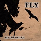 Fly (single)